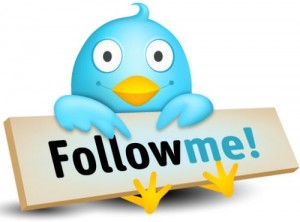 Twitter para novatos-Como obtener seguidores